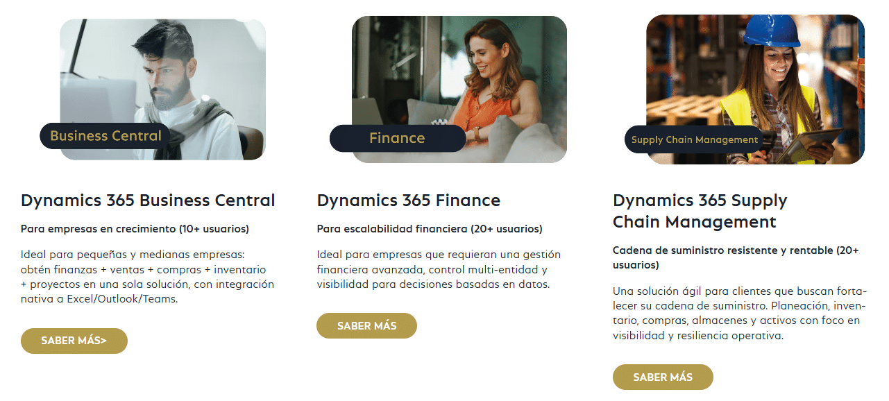 Microsoft Dynamics 365 Business Central, software ERP